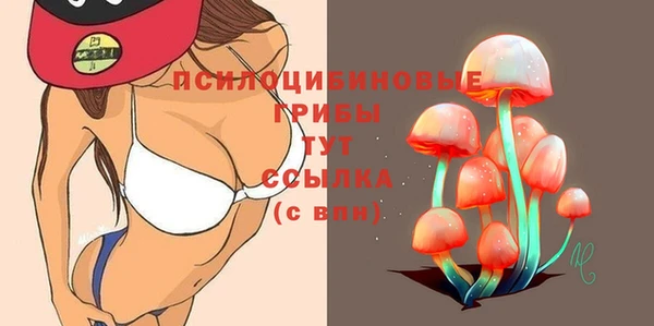 прущий лед Алексеевка