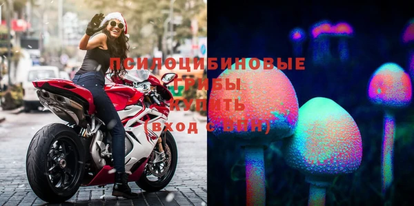 ПСИЛОЦИБИНОВЫЕ ГРИБЫ Алзамай
