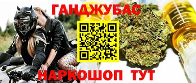 ECSTASY Новодвинск