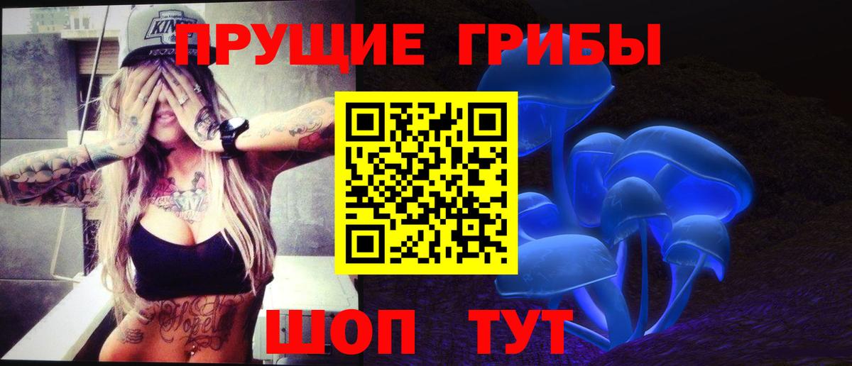 Псилоцибиновые грибы MAGIC MUSHROOMS  Галлюциногенные грибы Psilocybine cubensis  Серпухов  Вход с VPN 